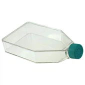 Cell Culture Plast Flaska 25 Cm2 75cm2 175cm2 Aaelab Biologix Frumuræktarflöskur Vefjaræktarflaska 175 Ml