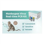 Nákvæmt Monkey Pox Pcr Test Monkeypox Detection Kit